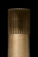 حامل أعواد الأسنان