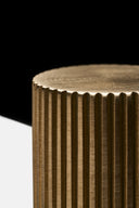 حامل أعواد الأسنان