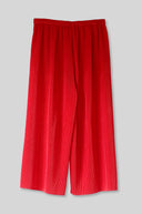 Pleated Pant