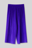 Pleated Pant