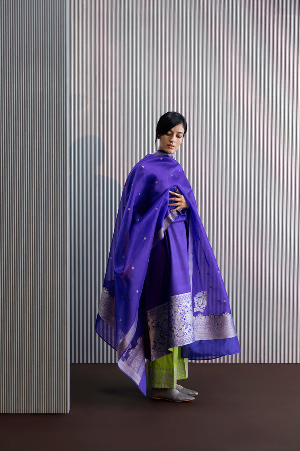 Handwoven Silk Engineered Organza Dupatta