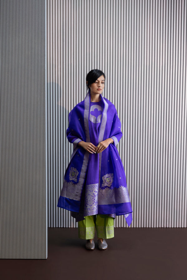 Handwoven Silk Engineered Organza Dupatta