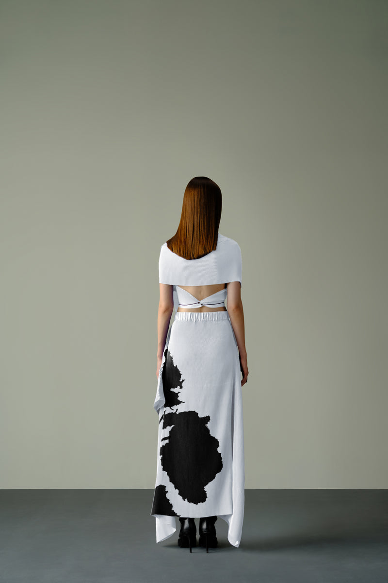 Pleated Skirt