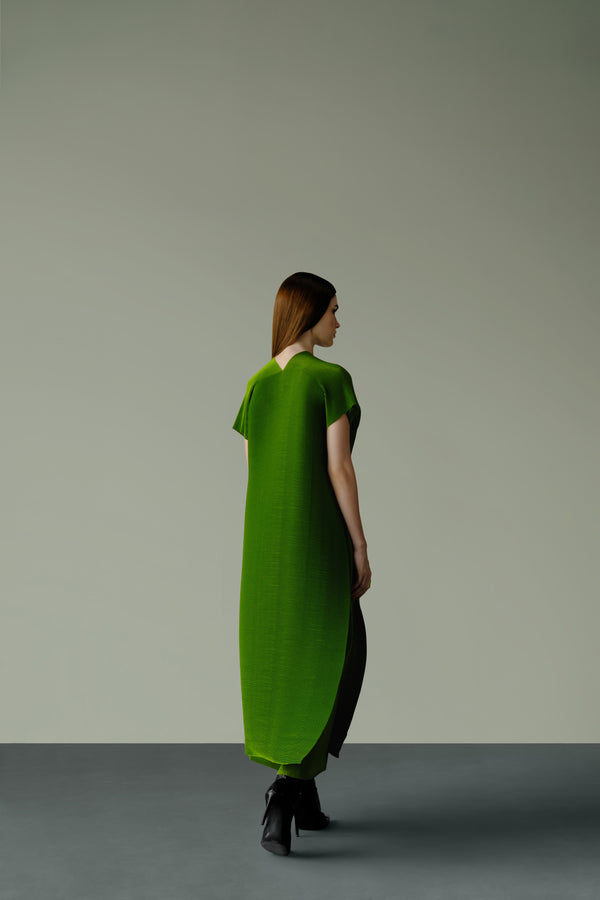 Pleated Pant