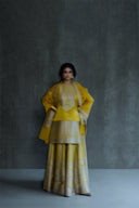 Silk Brocade Skirt Set