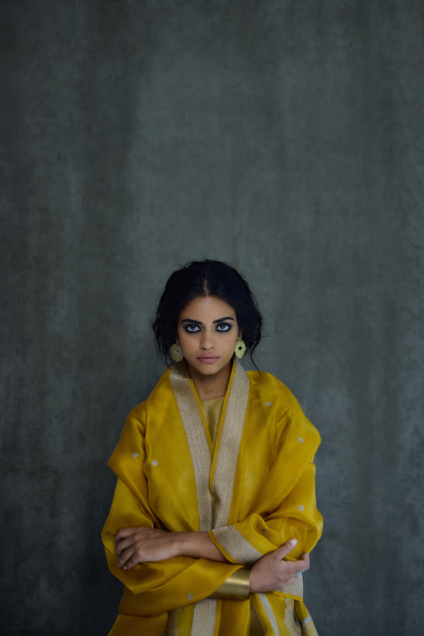 Silk Brocade Dupatta