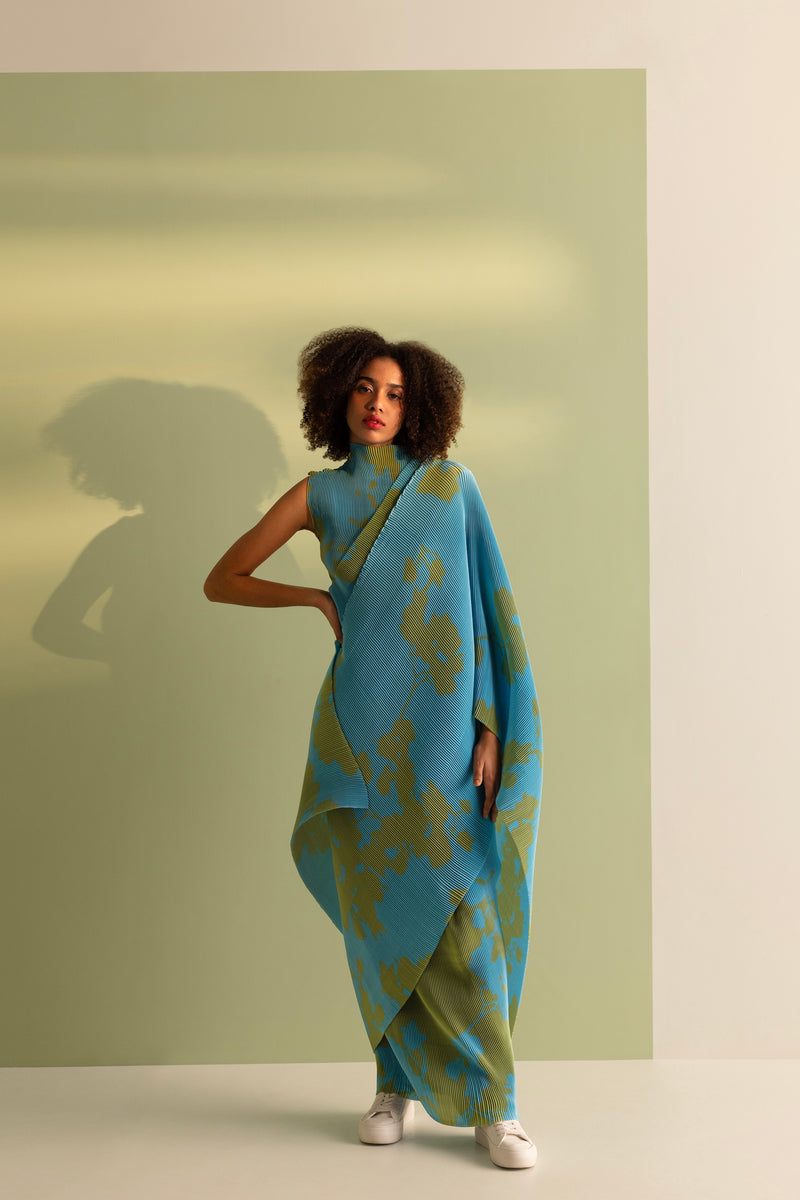 Draped Pleated Sari