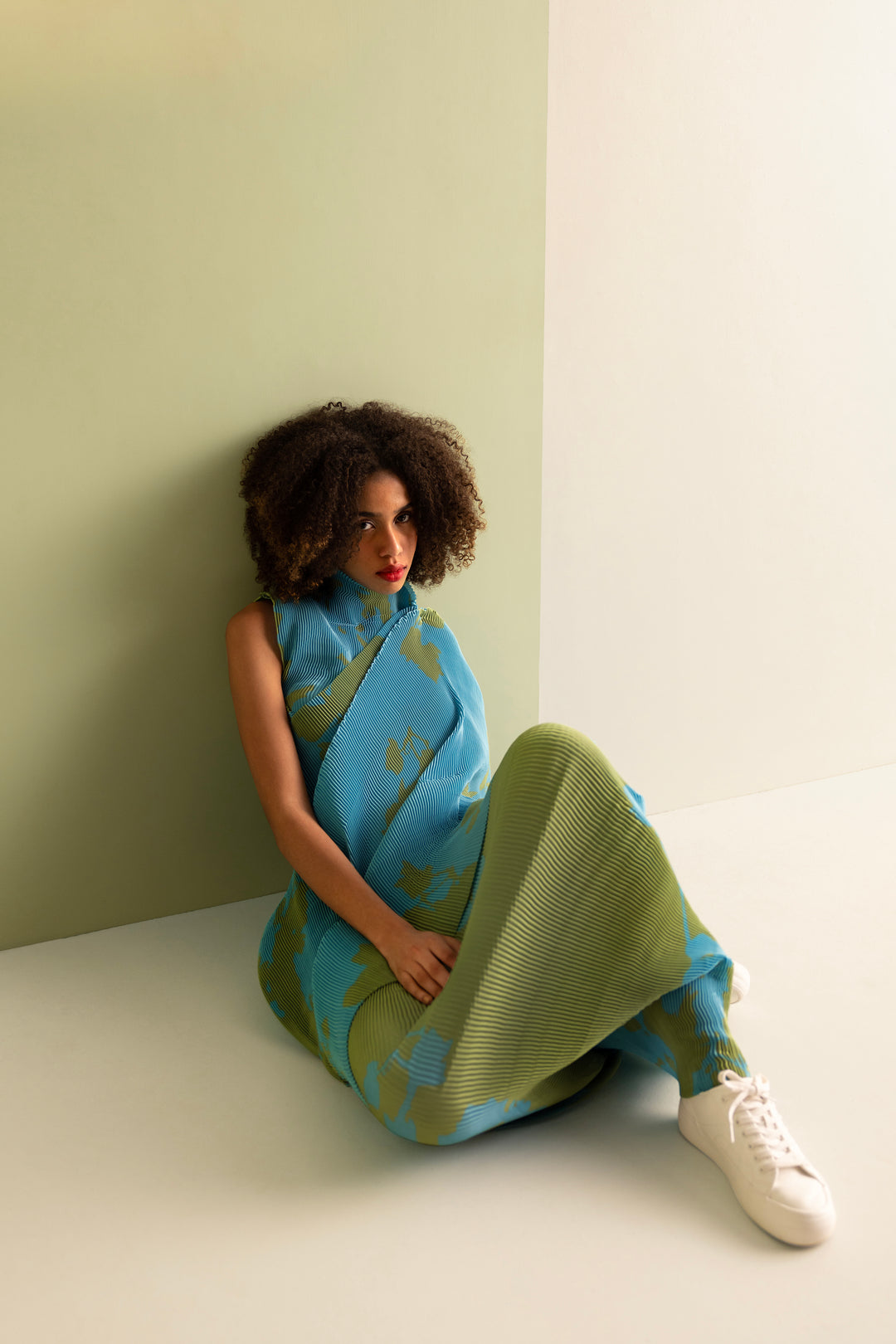 Draped Pleated Sari