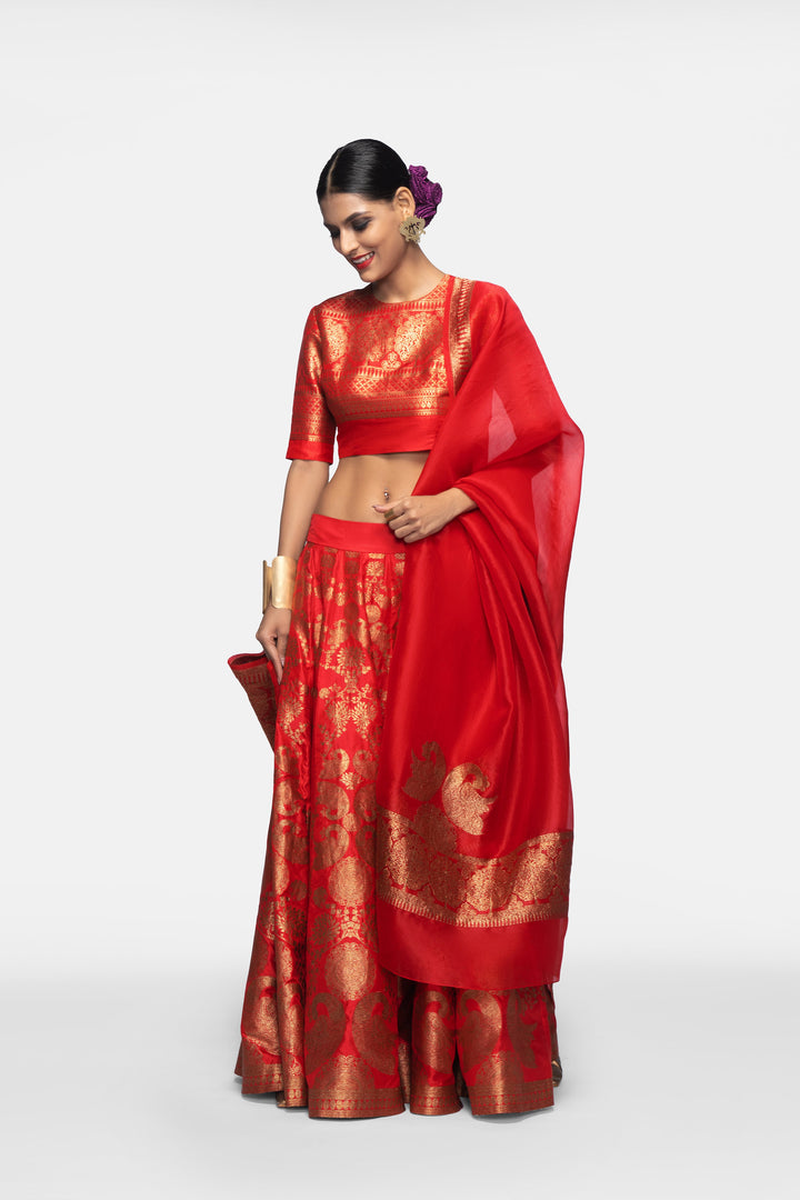 Handwoven Silk Organza Engineered Brocade Dupatta