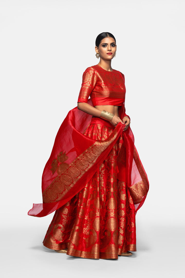 Handwoven Silk Organza Engineered Brocade Dupatta